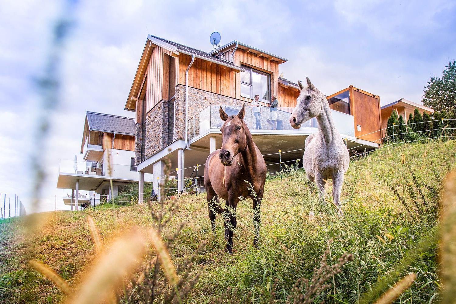 Golden Hill Country Chalets & Suites Waldschach Екстер'єр фото