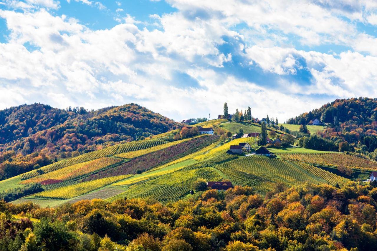 Golden Hill Country Chalets & Suites Waldschach Екстер'єр фото